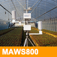 MAWS830-GCСվ